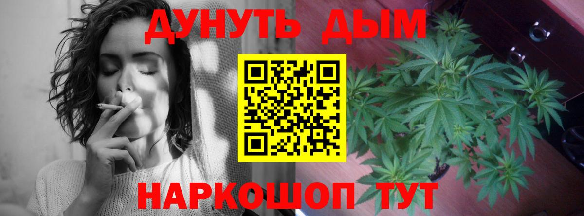 Бошки Шишки планчик Чернушка