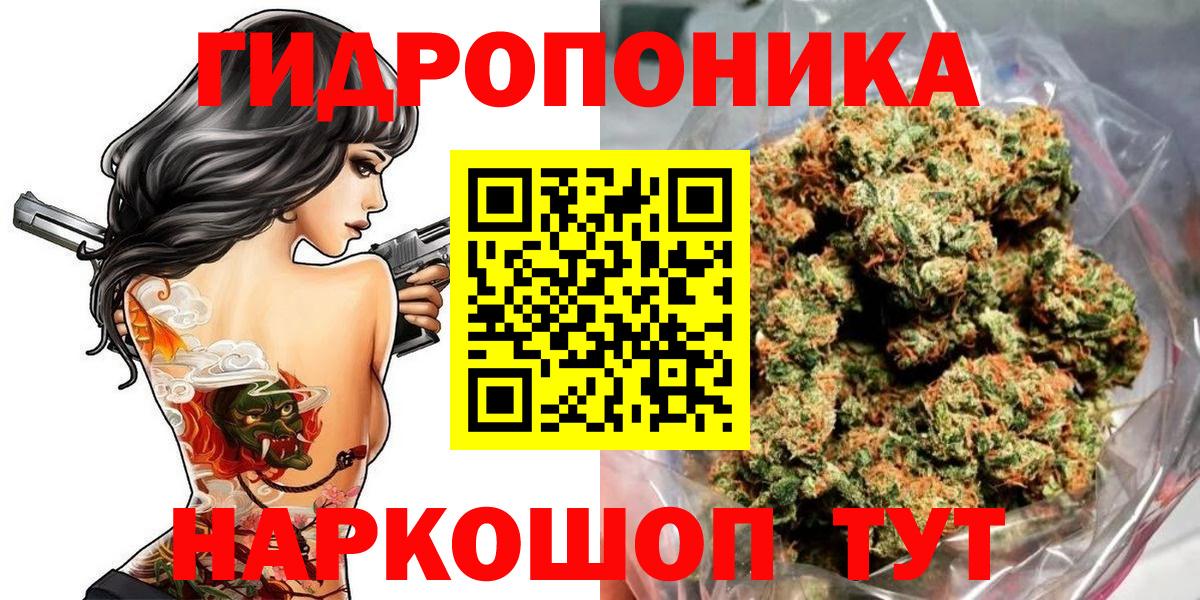 Бошки марихуана VHQ  Вход с VPN  Конопля VHQ  Конопля план  Чернушка  Каннабис Ganja 